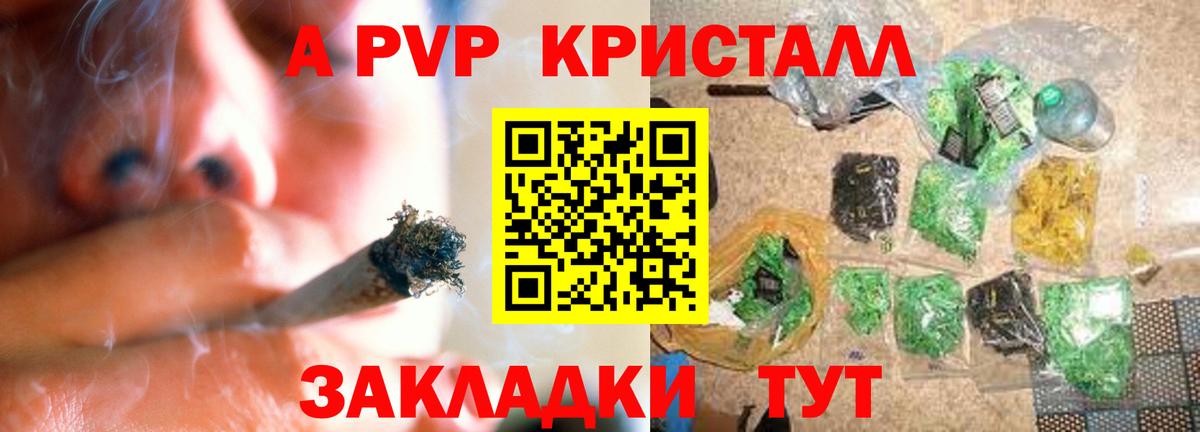 A PVP СК КРИС Нововоронеж