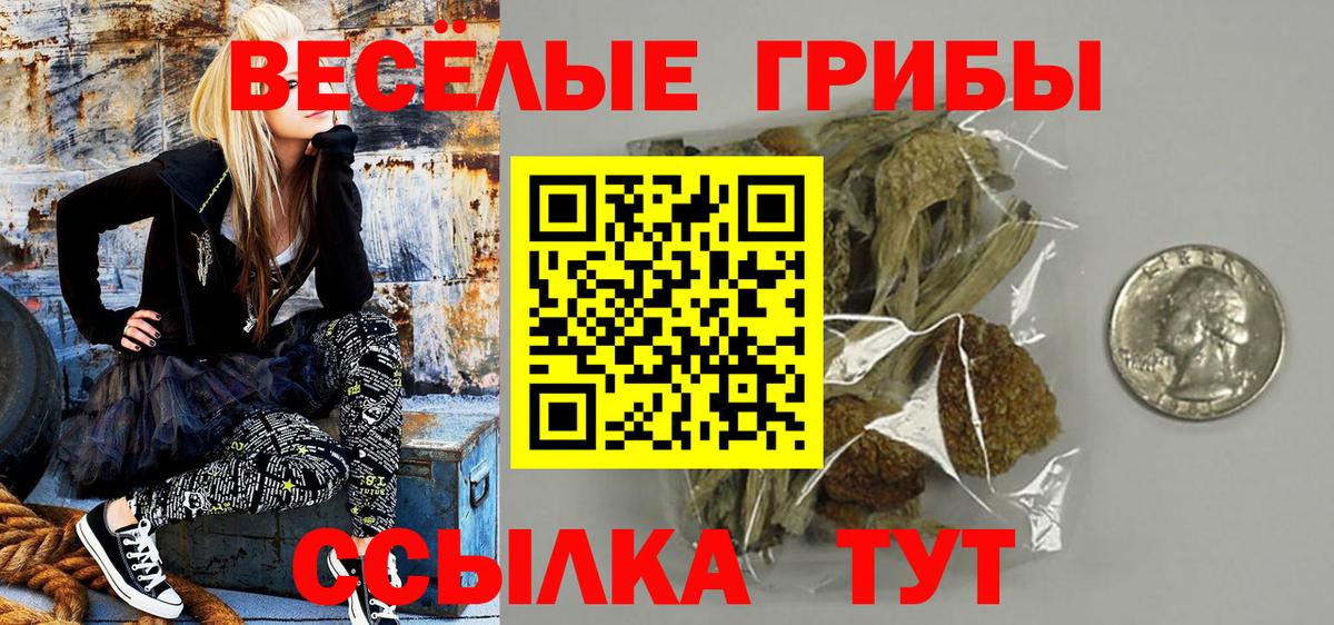 Галлюциногенные грибы MAGIC MUSHROOMS  Вход с VPN  Псилоцибиновые грибы GOLDEN TEACHER  Нововоронеж 